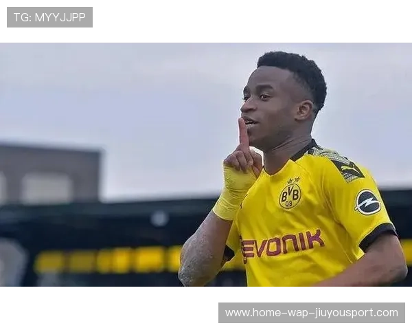 德甲各队平均年龄变化反映青训体系调整成果，德甲球员平均年薪