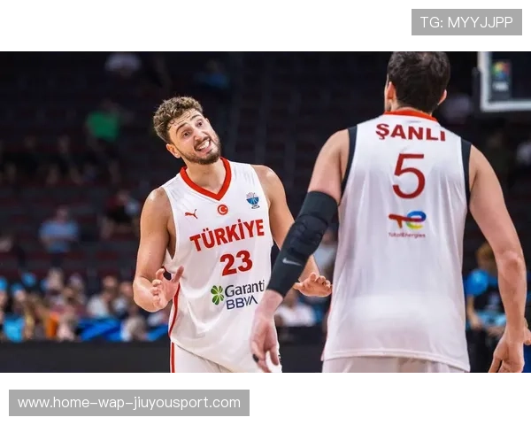 申京vs字母哥，欧洲篮坛的下一场统治之争？，申京选秀