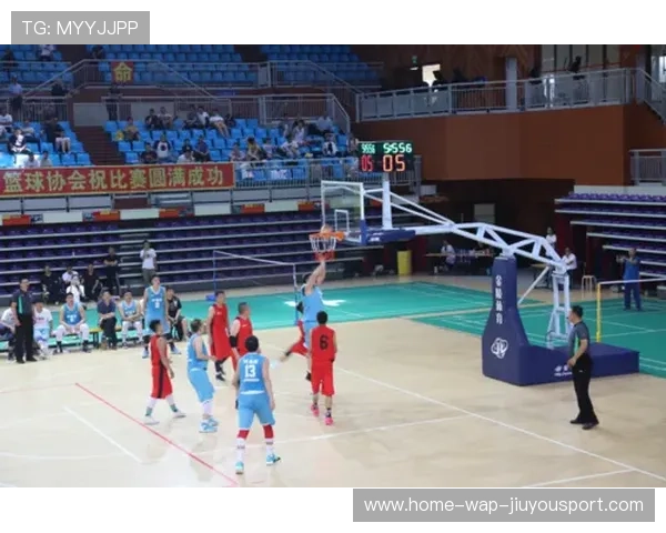 篮球裁判行为模型在中国联赛公正性建设中的作用，篮球裁判案例分析