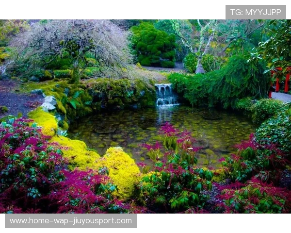 祖马加盟泰山,防线升级成新赛季最强武器 祖马加盟泰山,防线升级成新赛季最强武器