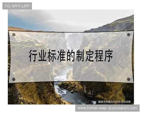 电竞行业的行业责任标准制定与执行